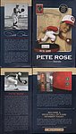 2014 Cincinnati Reds - Reds HOF Booblehead SGA Box to 6000.jpg